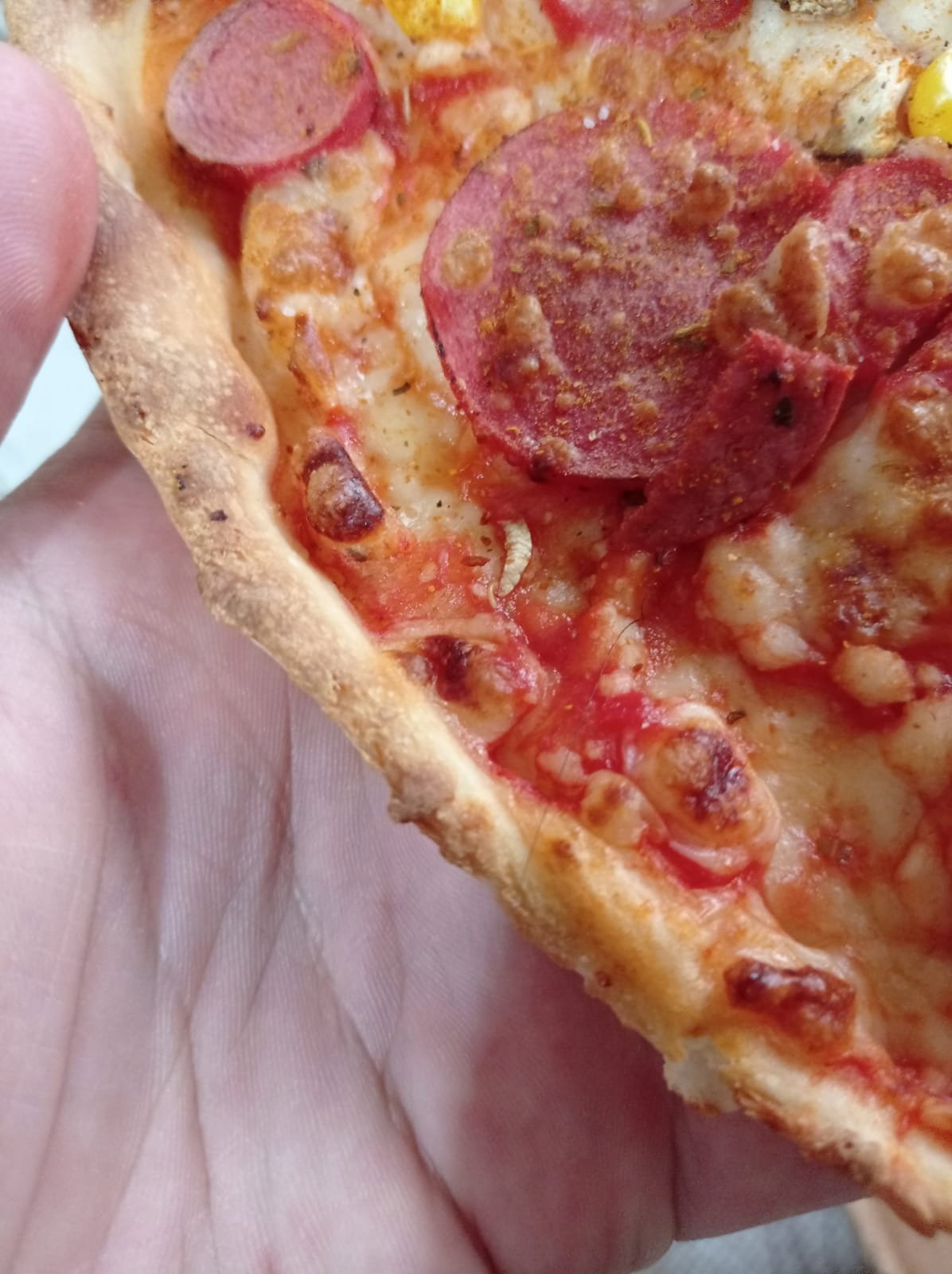 Pasaport Pizza Sultanbeyli