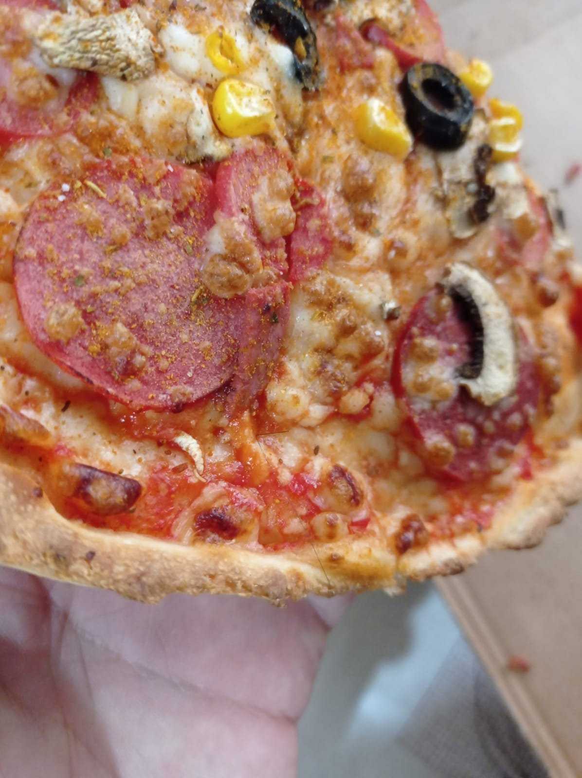 Pasaport Pizza Sultanbeyli