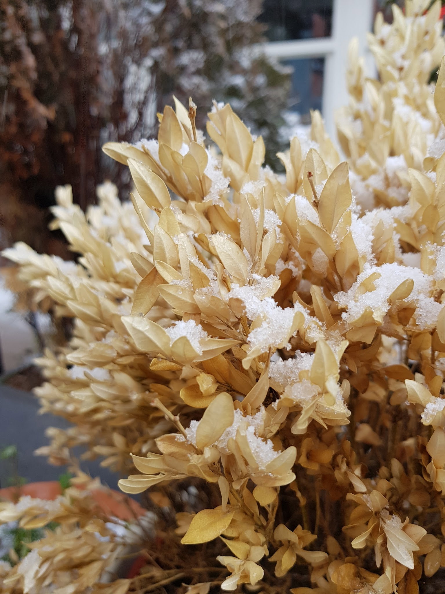 Donas Döner Kütahya - Merkez