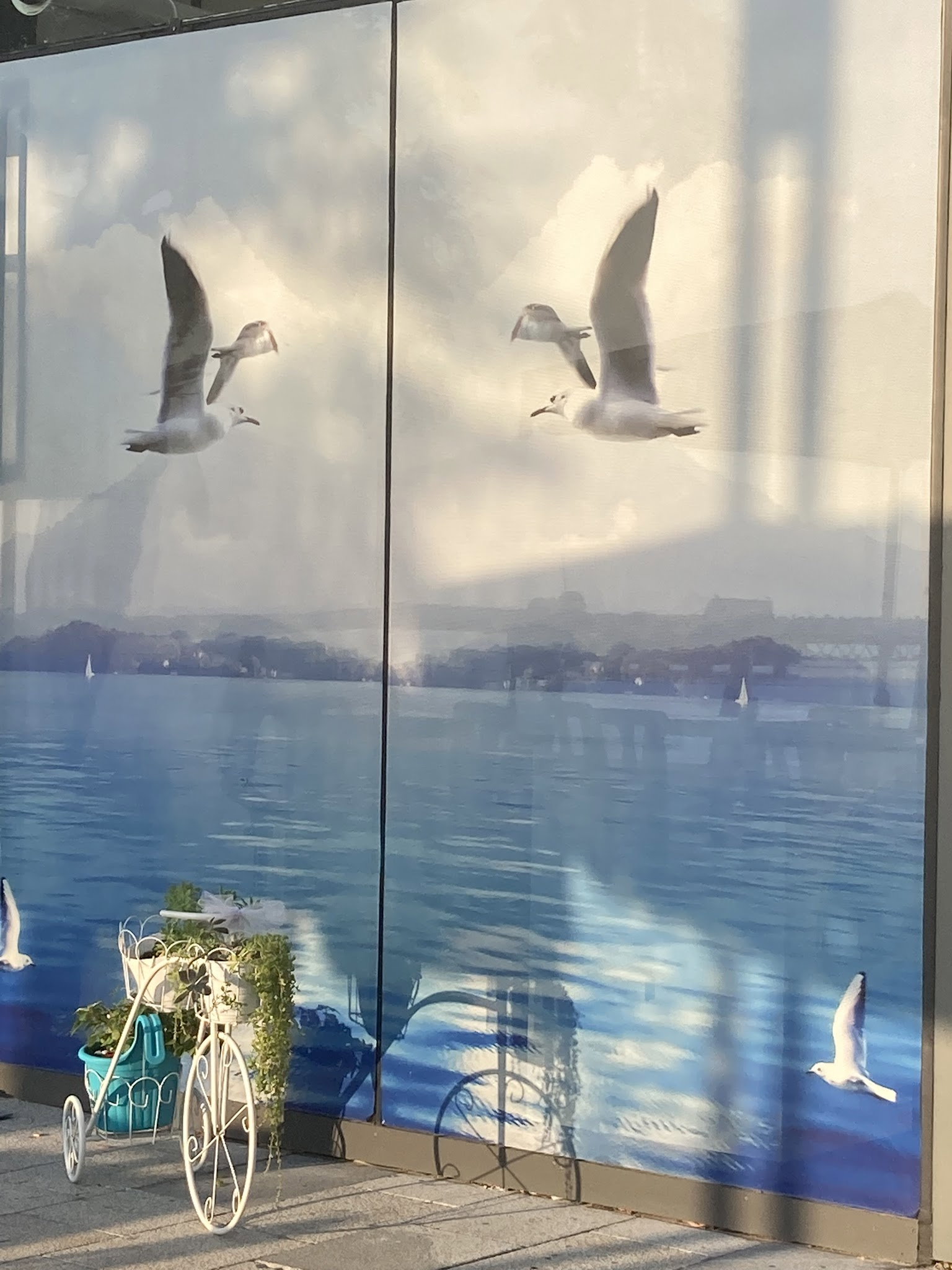 Martı Cafe Zonguldak