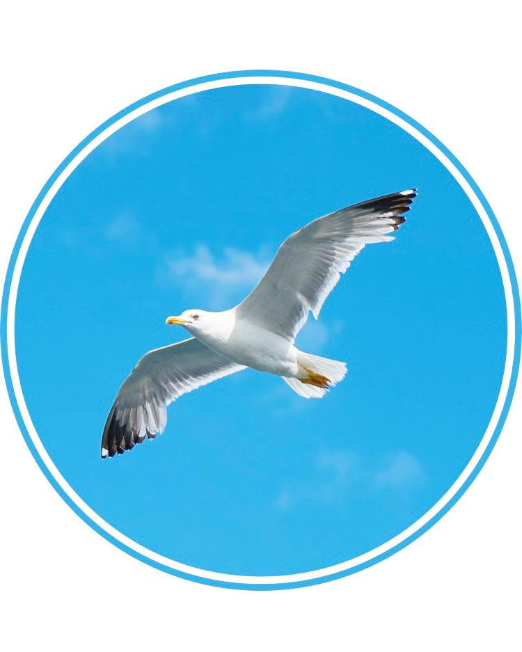 Martı Cafe Zonguldak