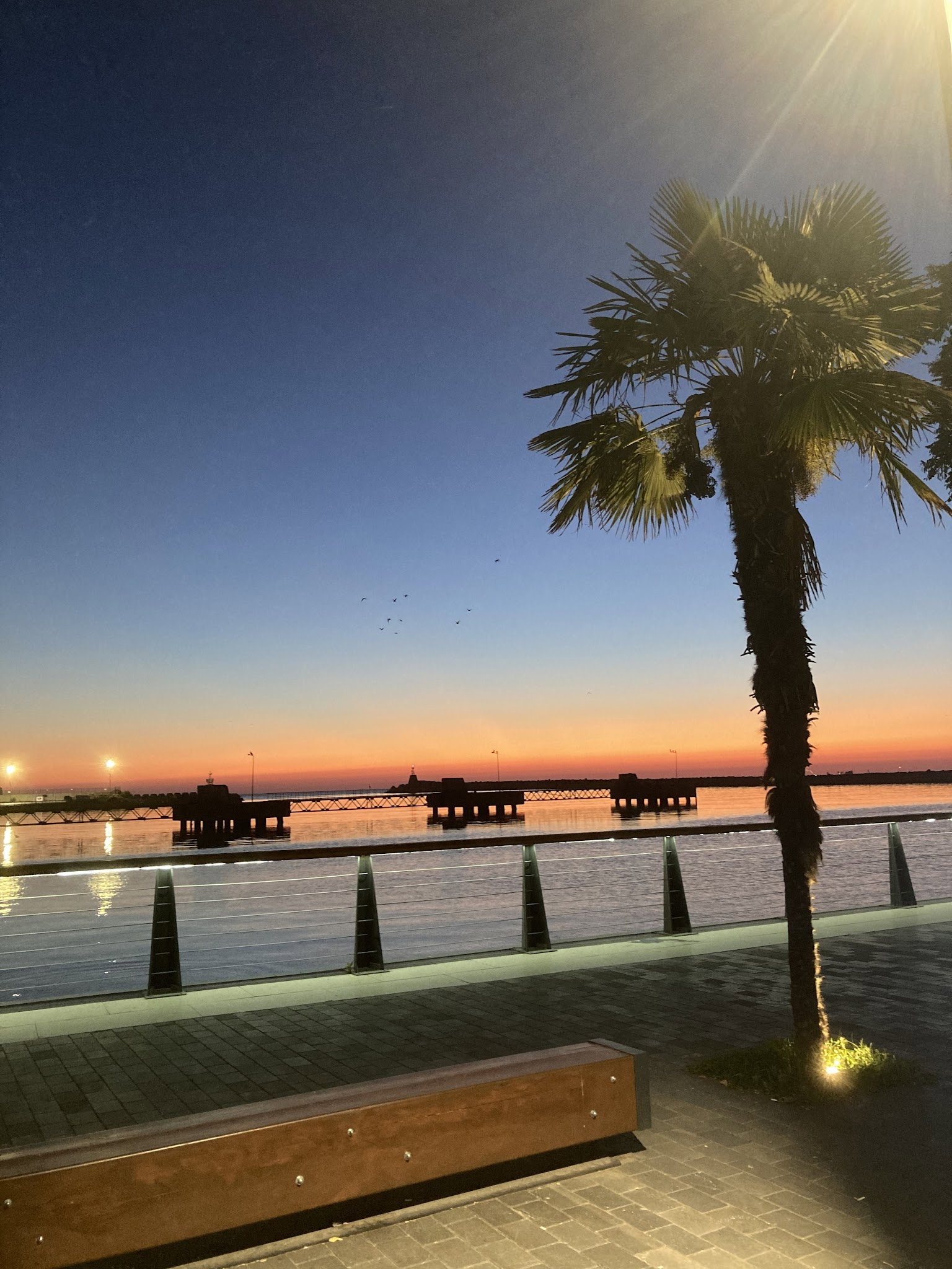 Martı Cafe Zonguldak