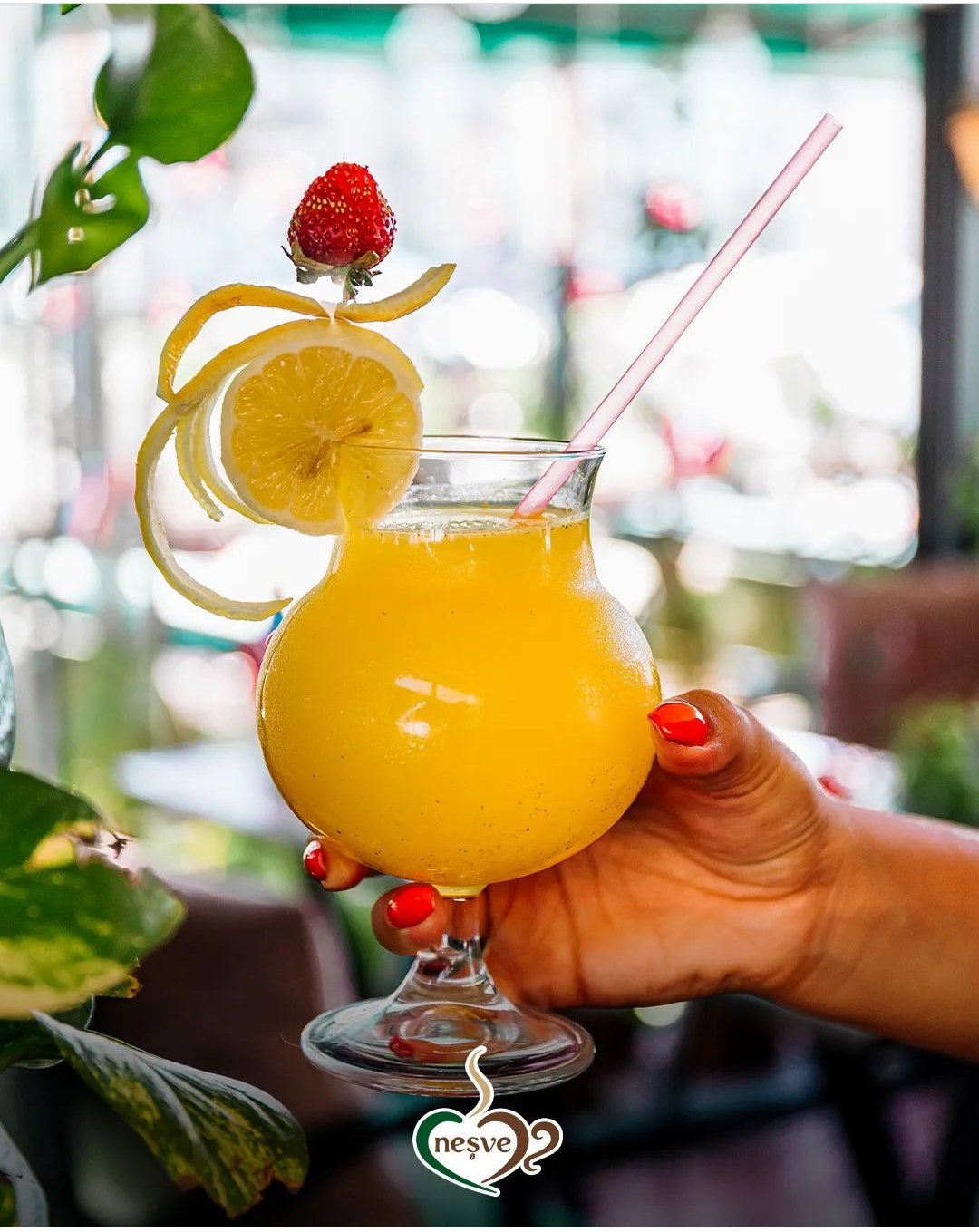 Neşve Cafe&Restaurant Bosna