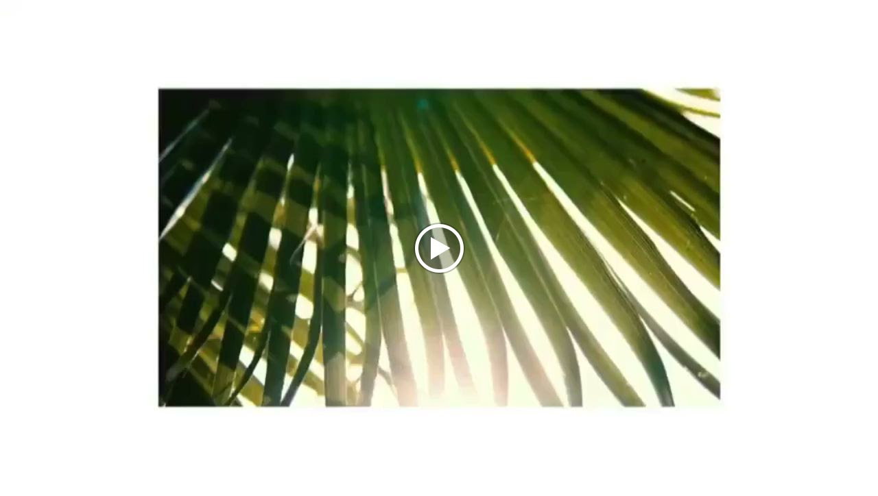 Neşve Cafe&Restaurant Bosna