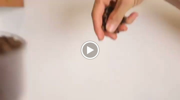 Neşve Cafe&Restaurant Bosna