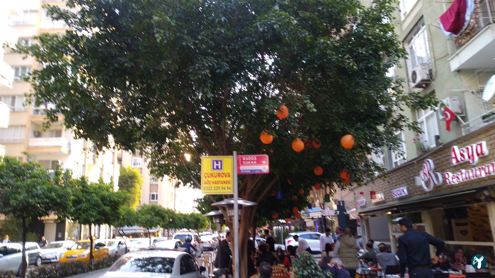 Asya Restaurant