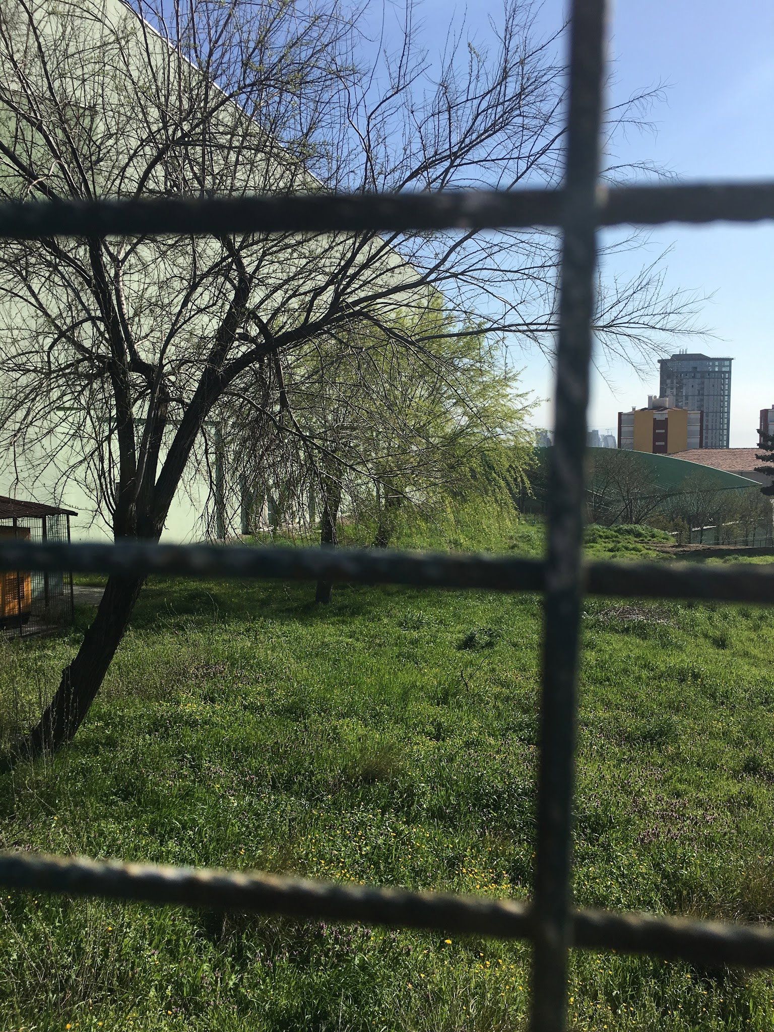 Öncü Halı Saha & Cafe