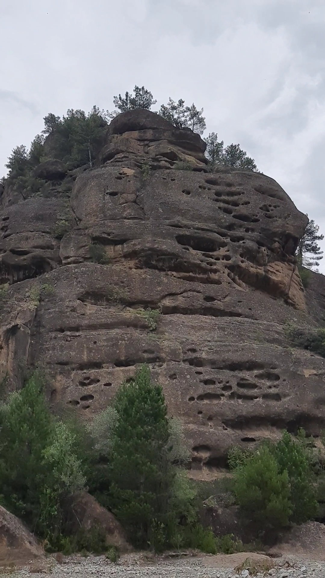 Öncü Halı Saha & Cafe