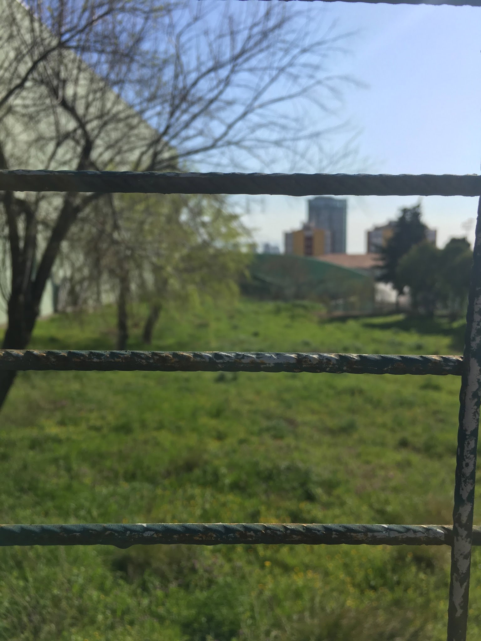 Öncü Halı Saha & Cafe