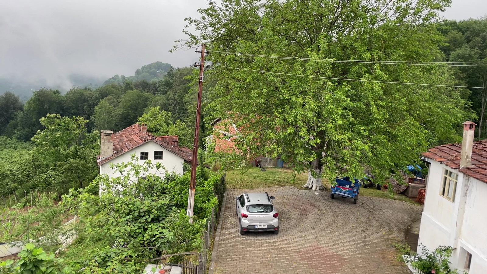 Öncü Halı Saha & Cafe