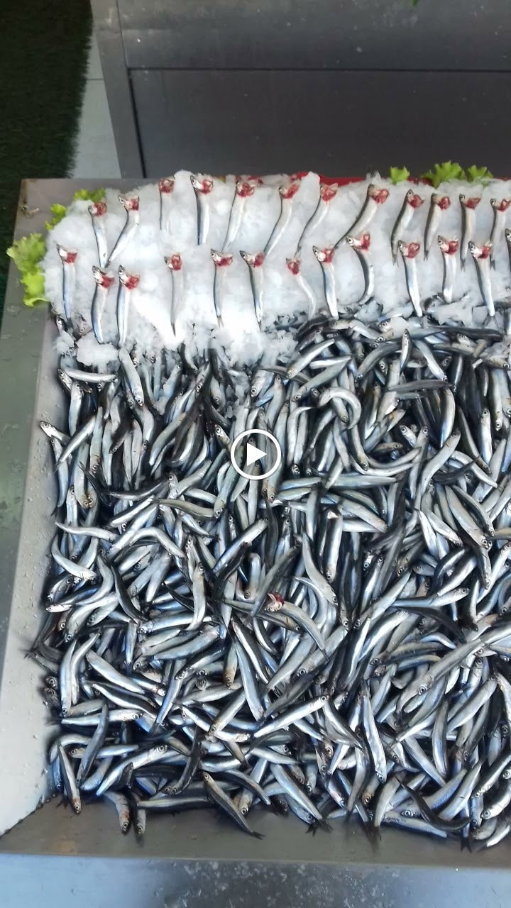 Etimesgut Balık Pişirme Evi