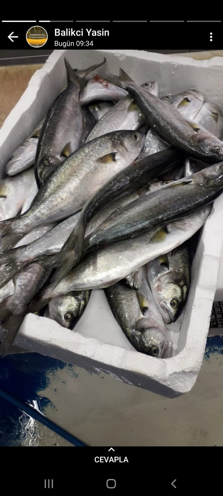 Etimesgut Balık Pişirme Evi