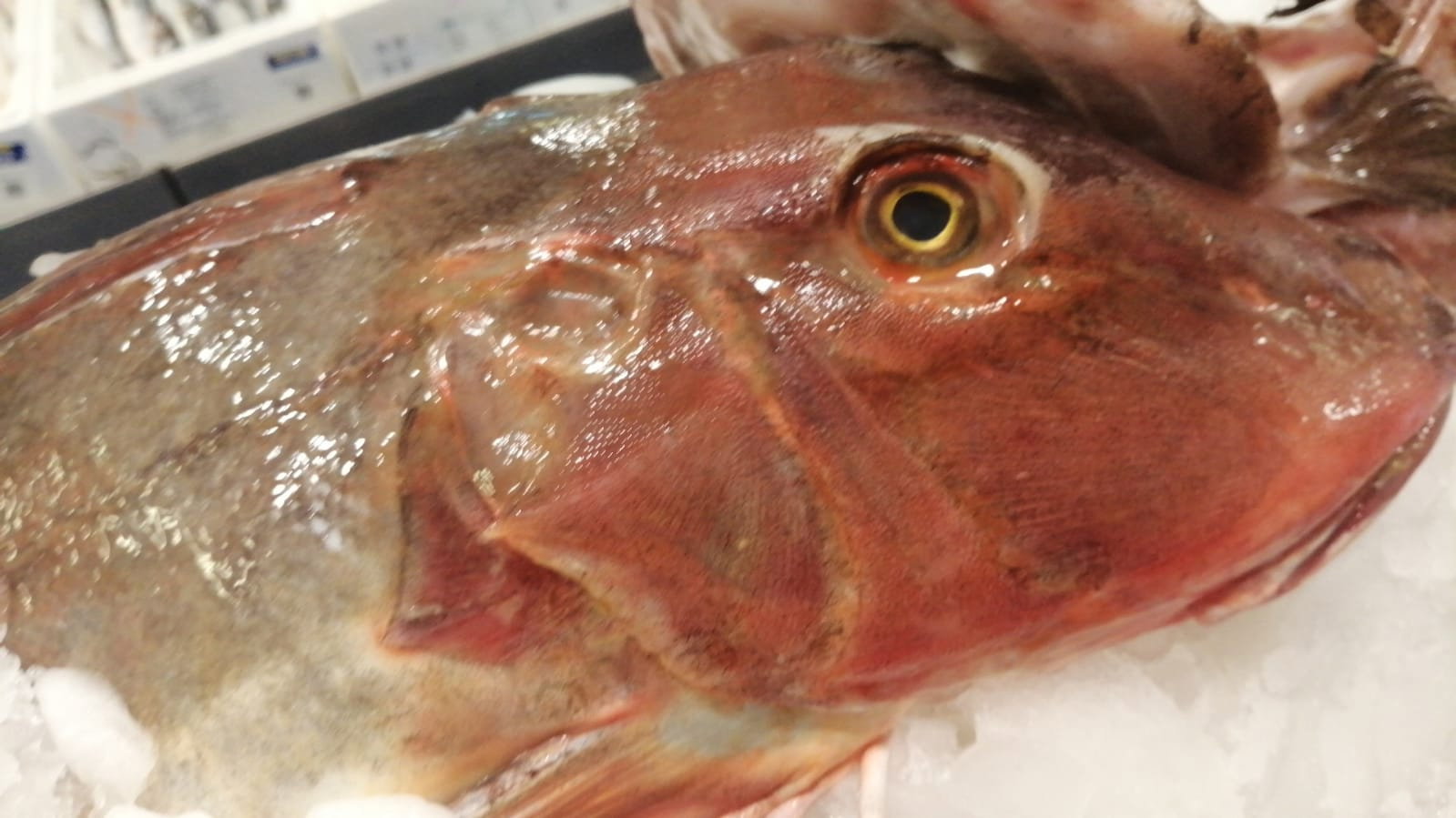 Etimesgut Balık Pişirme Evi