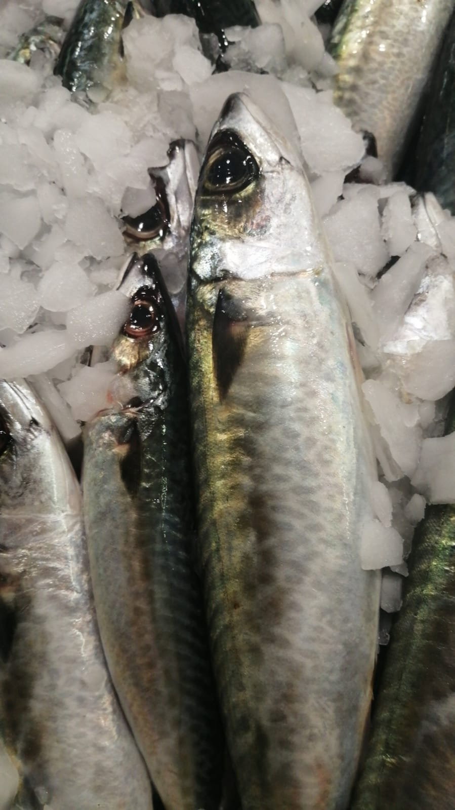 Etimesgut Balık Pişirme Evi