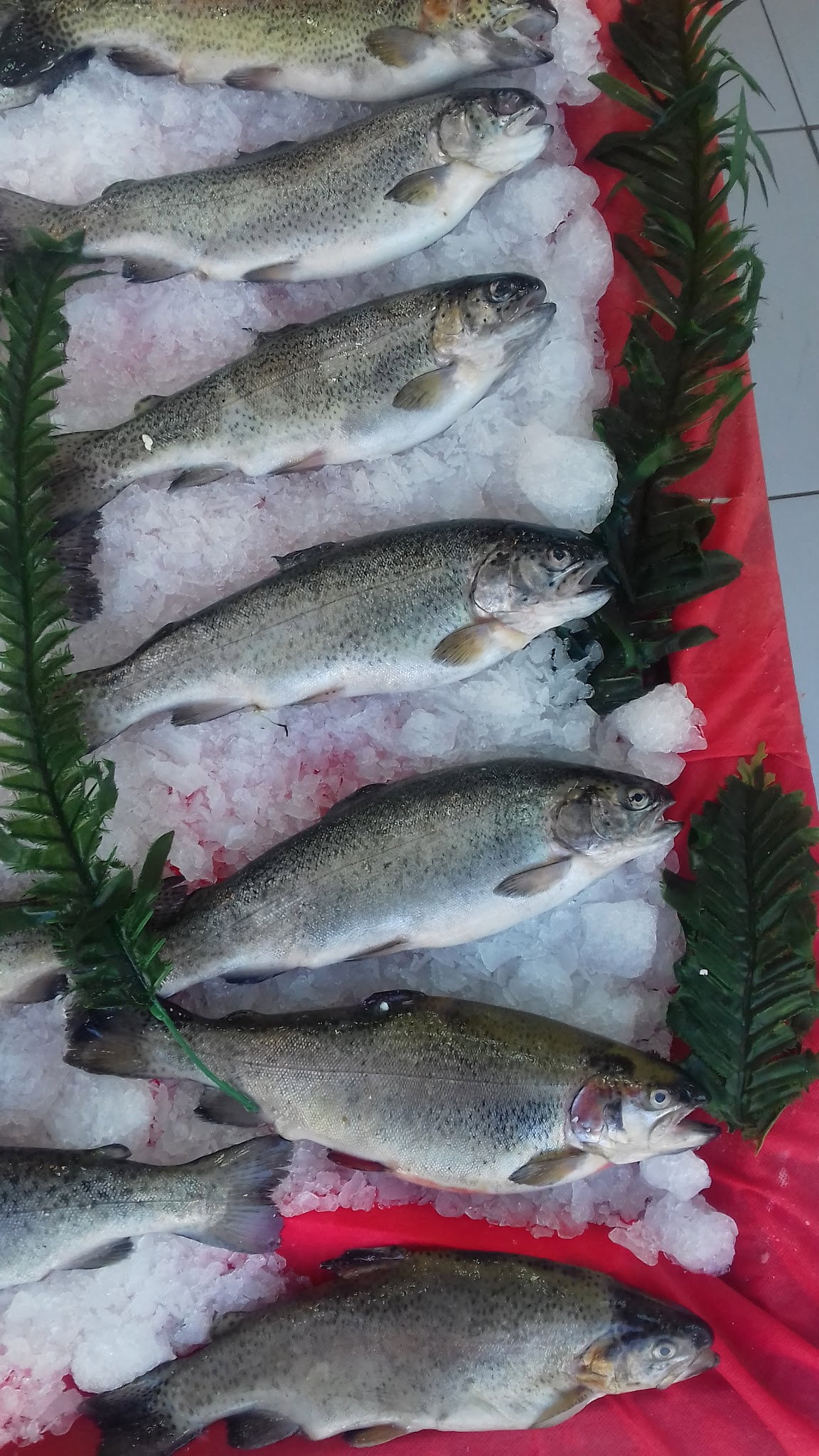 Etimesgut Balık Pişirme Evi