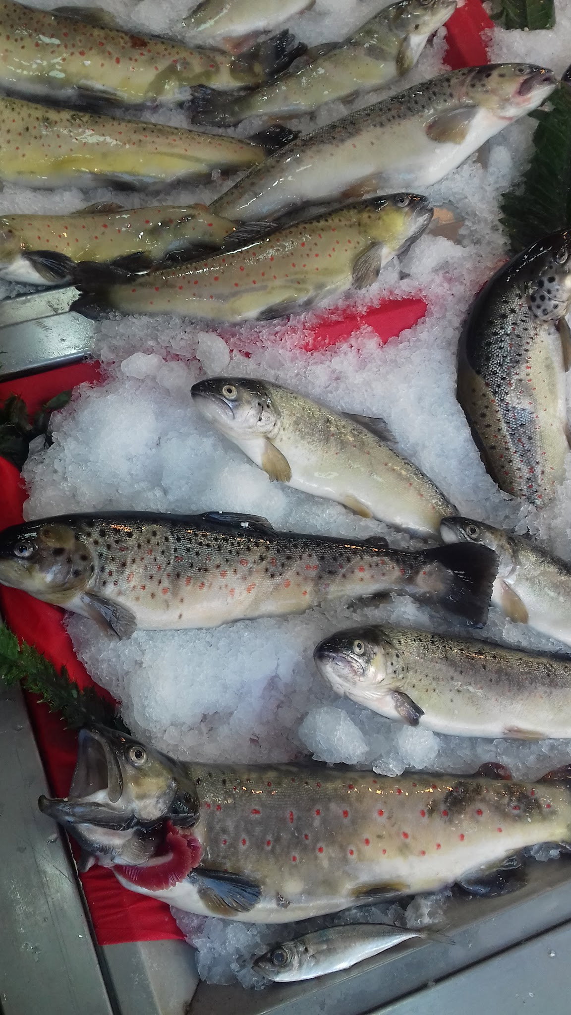 Etimesgut Balık Pişirme Evi