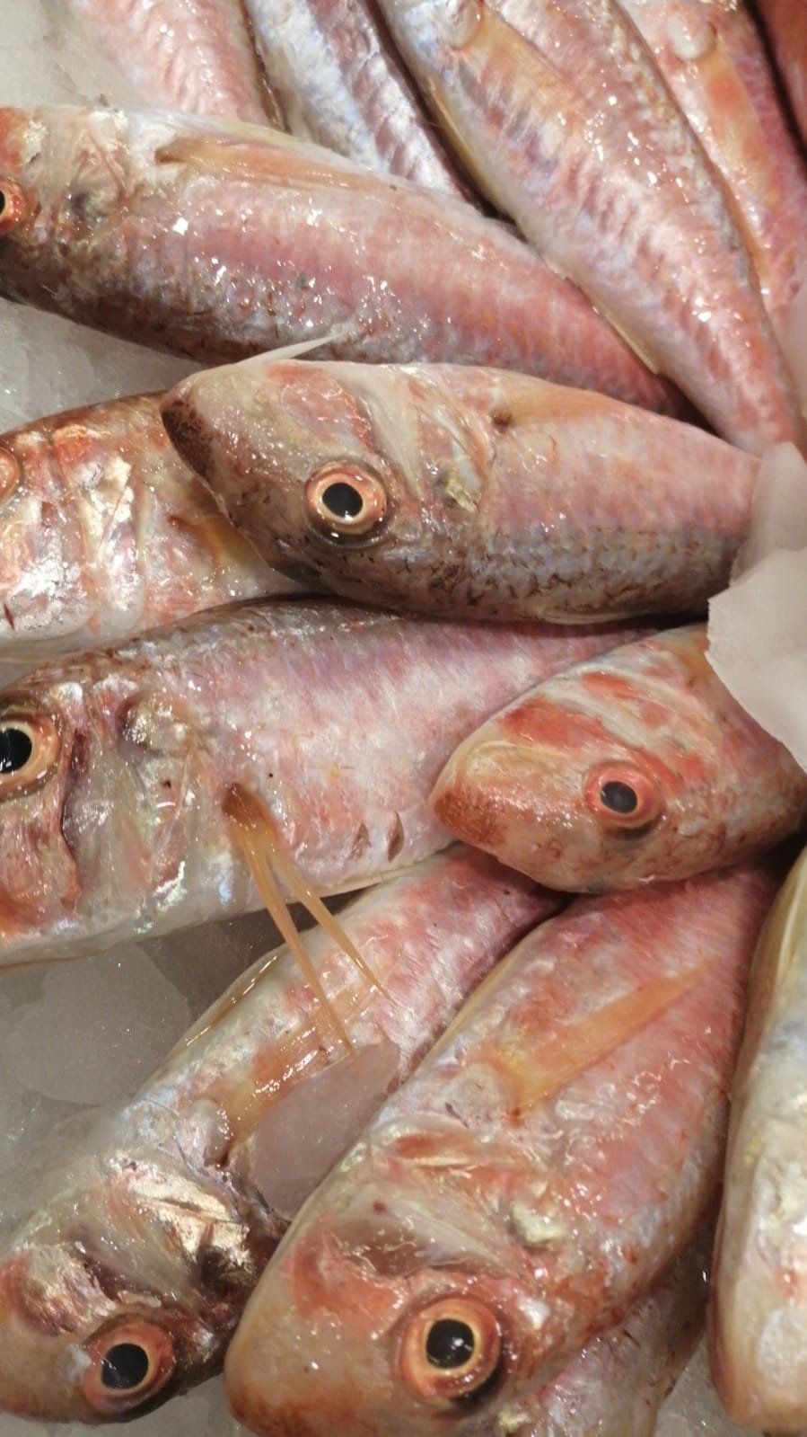 Etimesgut Balık Pişirme Evi