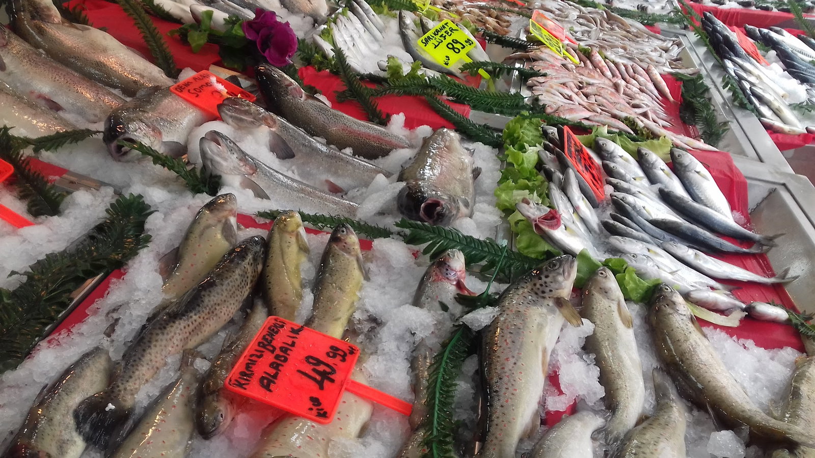 Etimesgut Balık Pişirme Evi