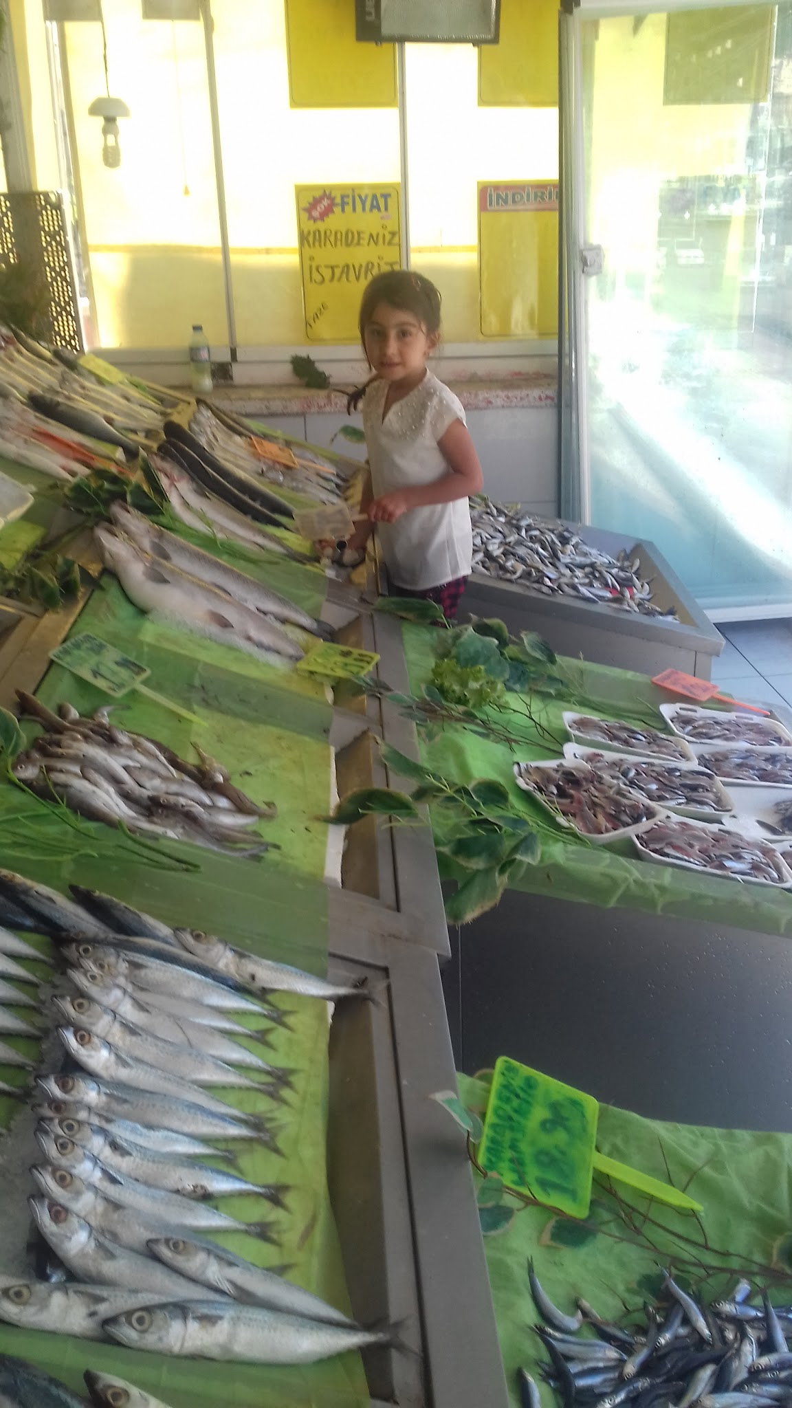 Etimesgut Balık Pişirme Evi