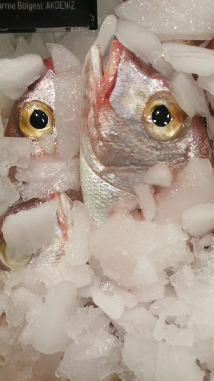 Etimesgut Balık Pişirme Evi