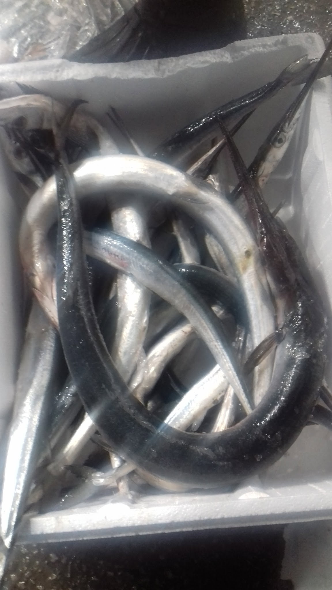 Etimesgut Balık Pişirme Evi