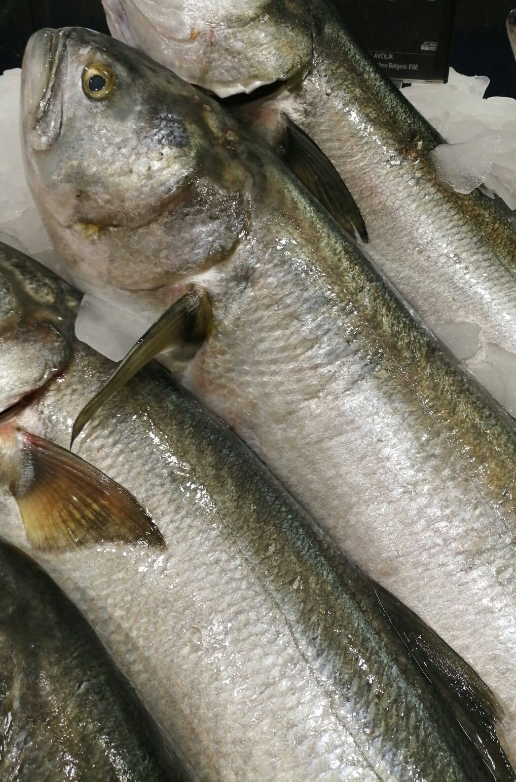 Etimesgut Balık Pişirme Evi