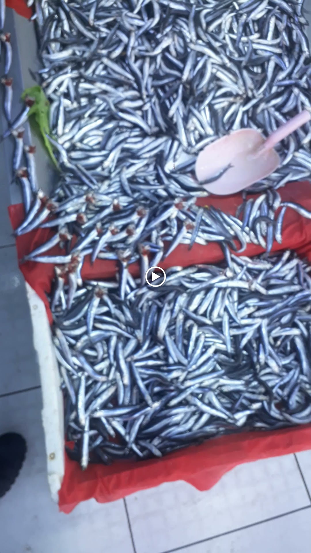 Etimesgut Balık Pişirme Evi