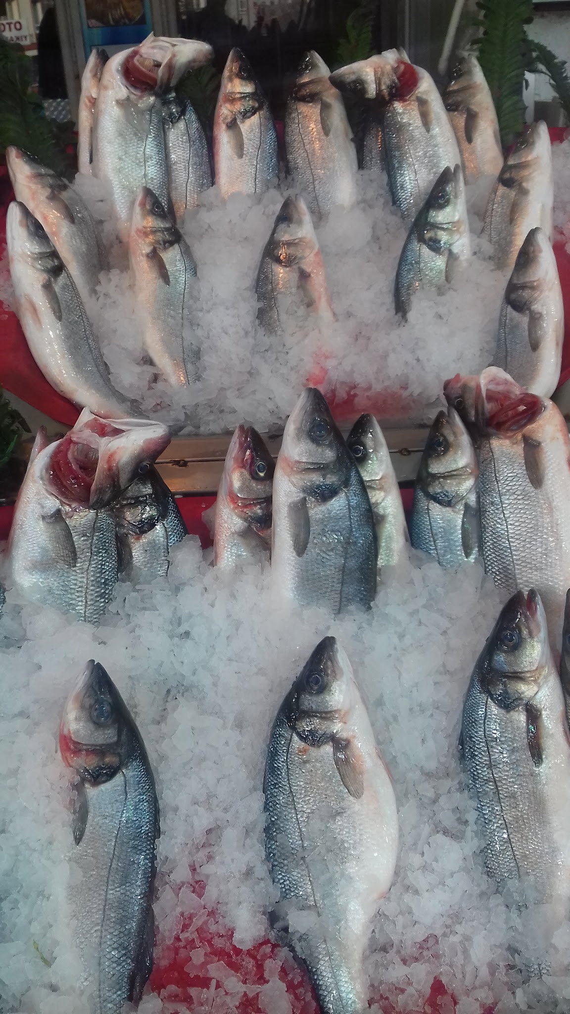 Etimesgut Balık Pişirme Evi