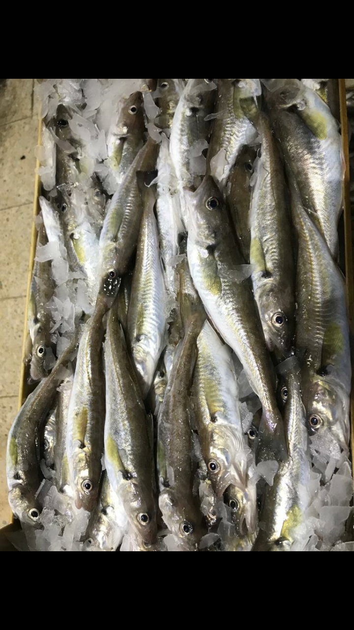 Etimesgut Balık Pişirme Evi