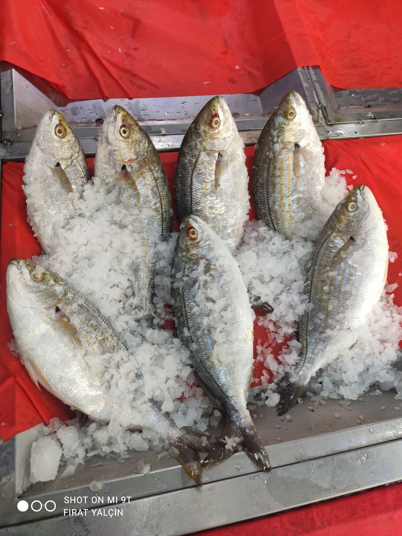 Etimesgut Balık Pişirme Evi