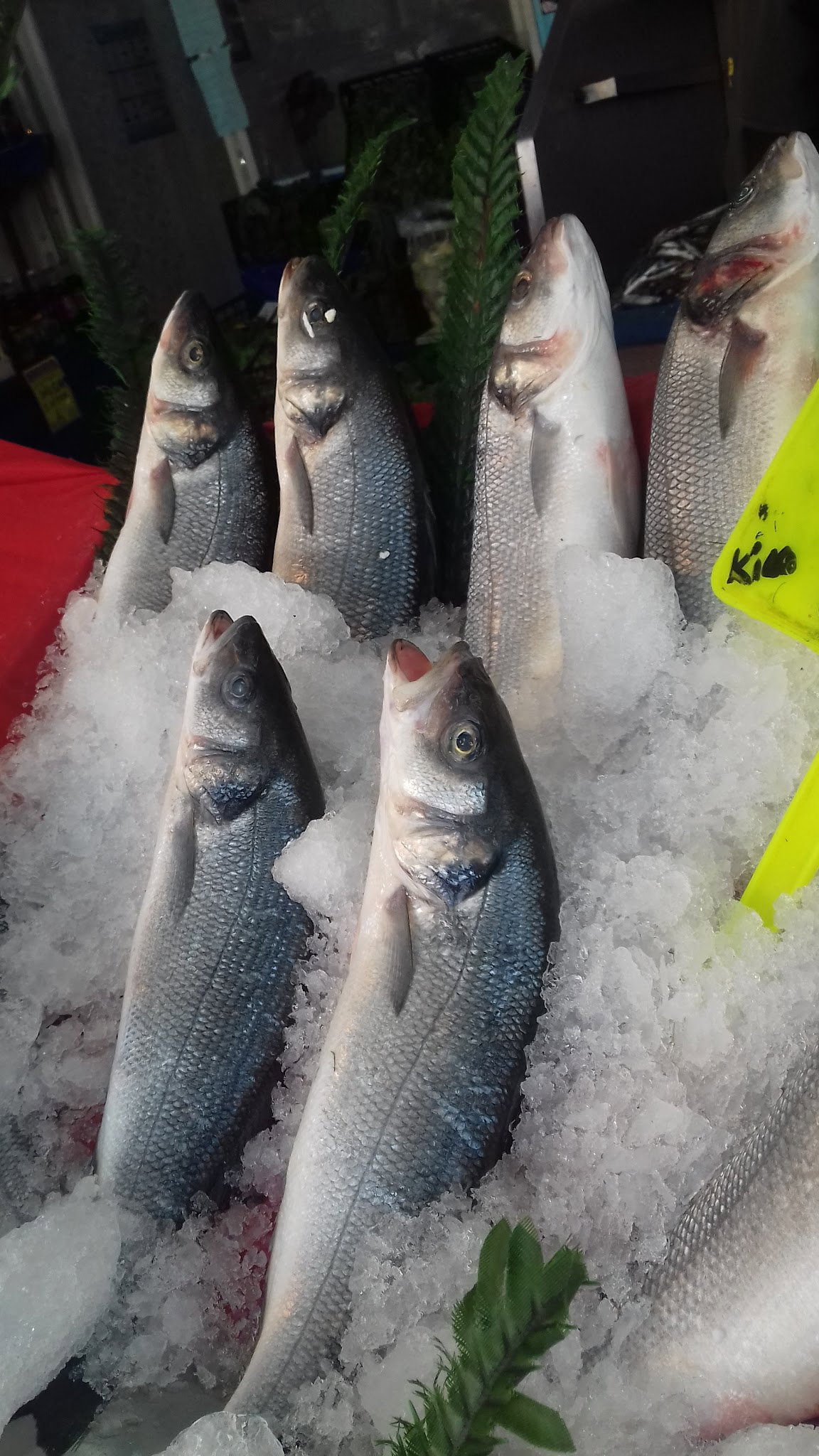 Etimesgut Balık Pişirme Evi