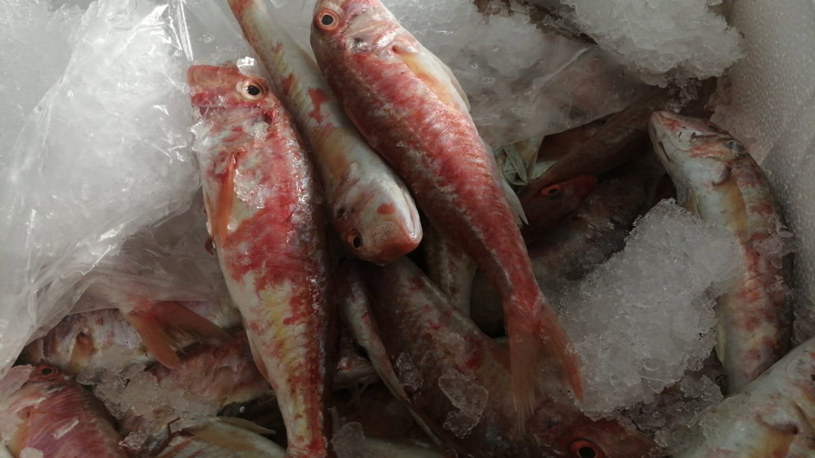 Etimesgut Balık Pişirme Evi