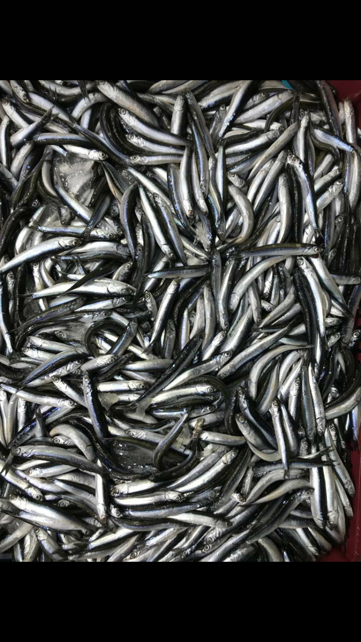 Etimesgut Balık Pişirme Evi