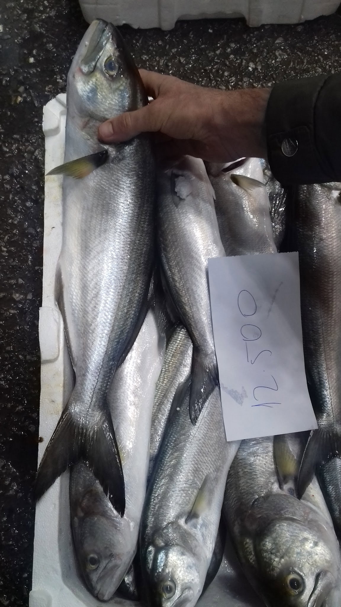 Etimesgut Balık Pişirme Evi