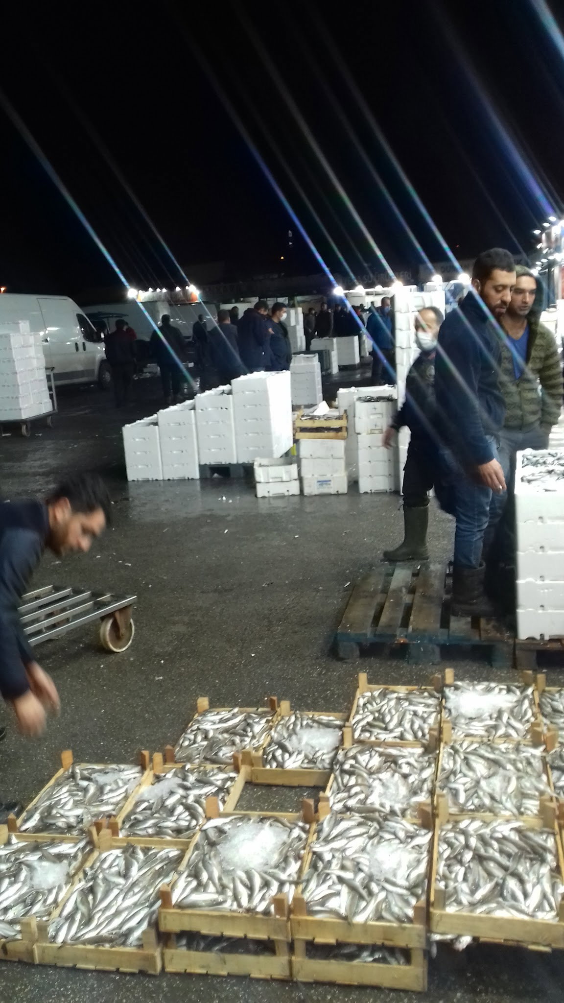 Etimesgut Balık Pişirme Evi