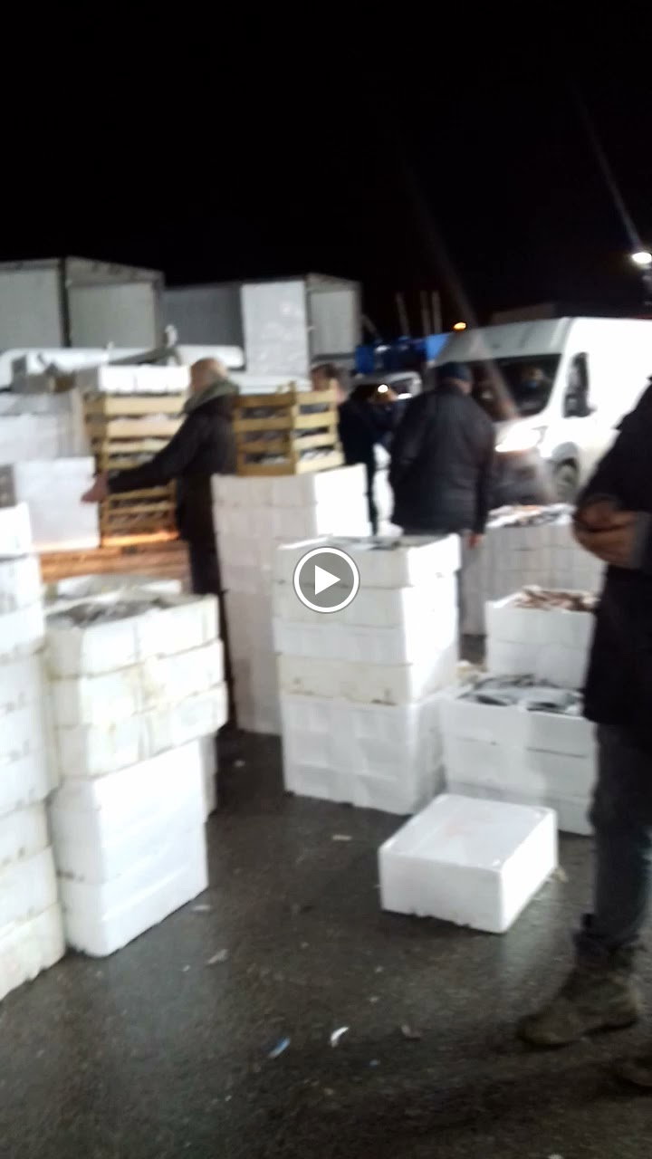 Etimesgut Balık Pişirme Evi