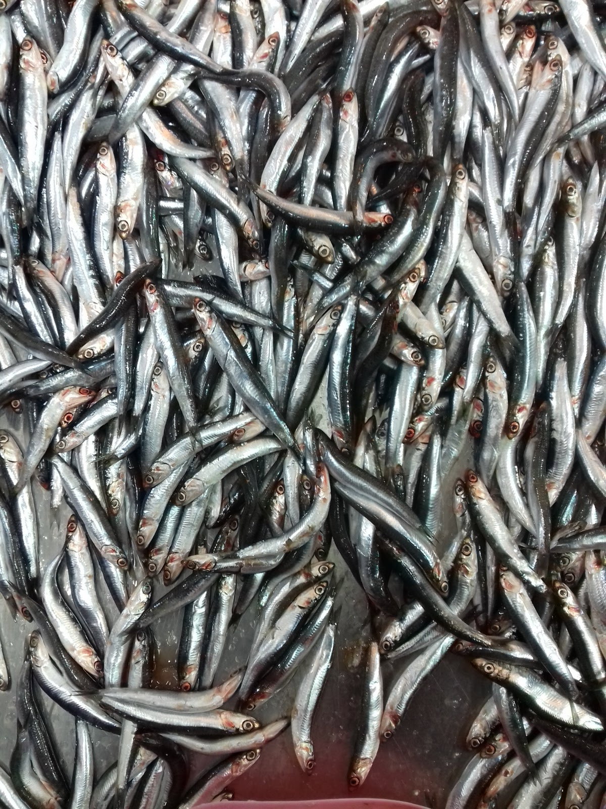 Etimesgut Balık Pişirme Evi