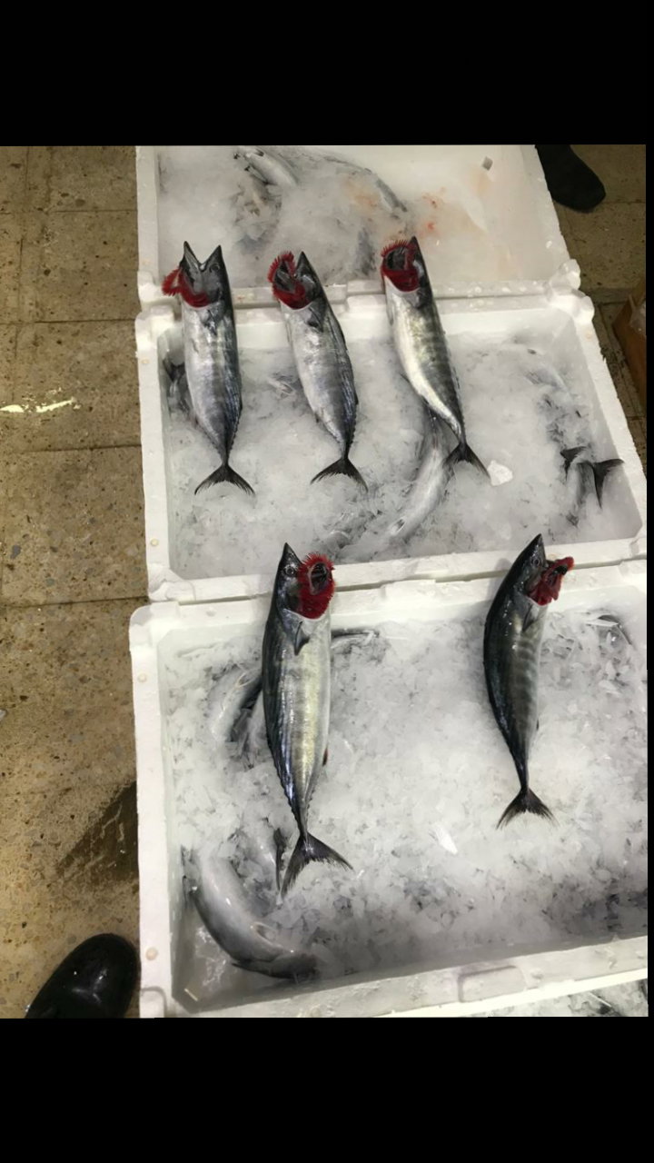 Etimesgut Balık Pişirme Evi