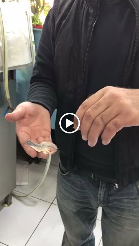 Etimesgut Balık Pişirme Evi