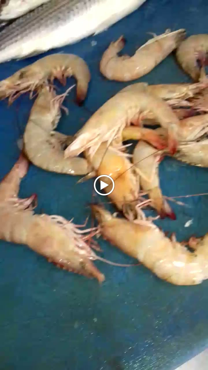 Etimesgut Balık Pişirme Evi