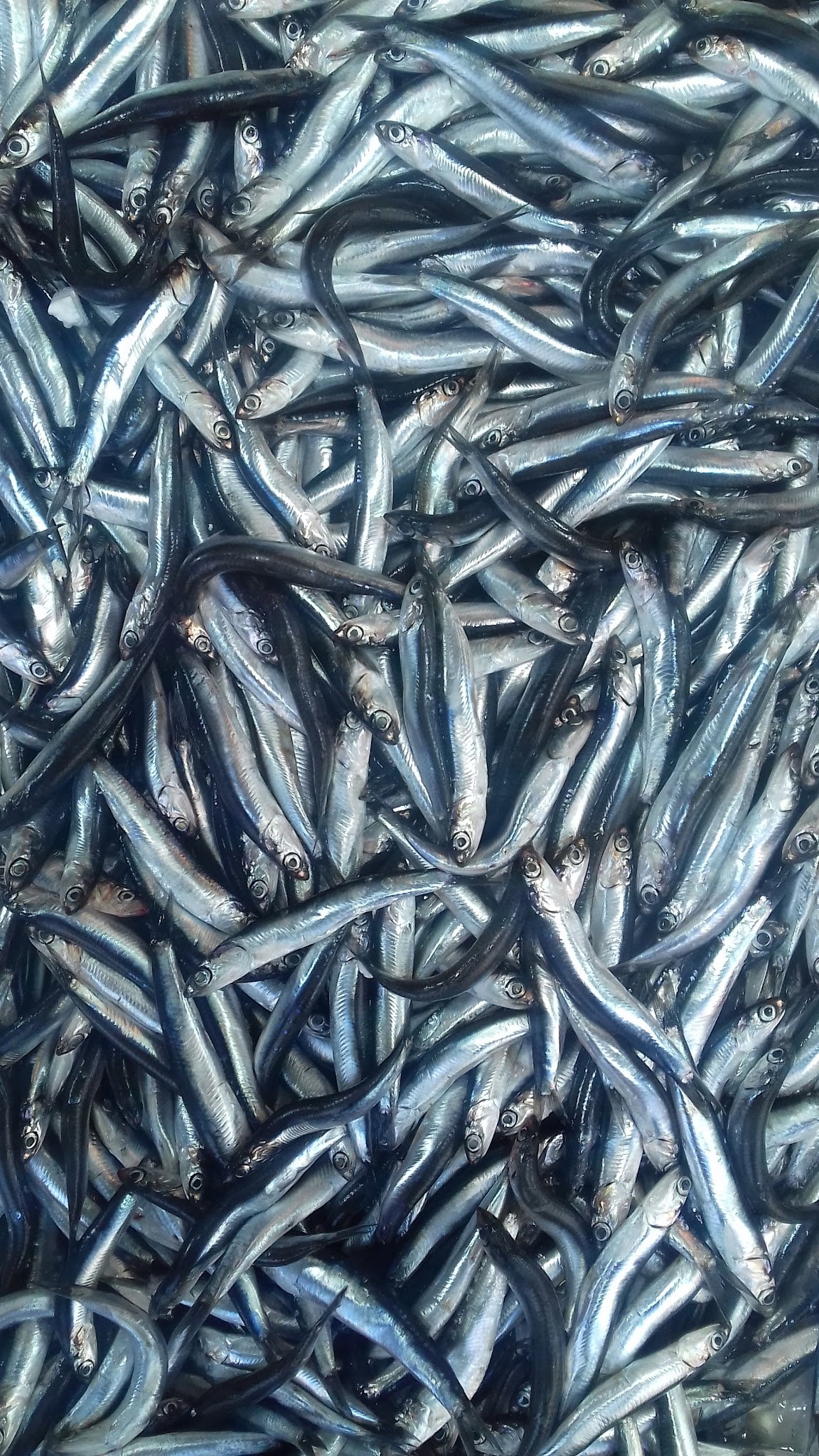 Etimesgut Balık Pişirme Evi