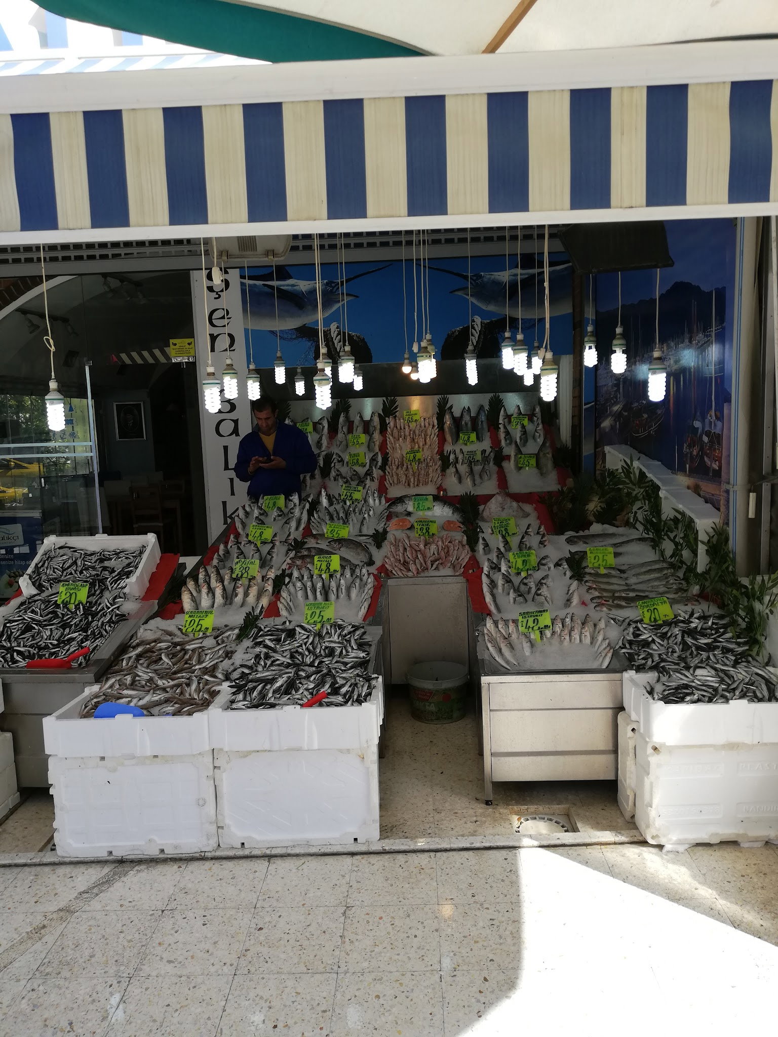 Şen Balıkçı Pişirme Evi