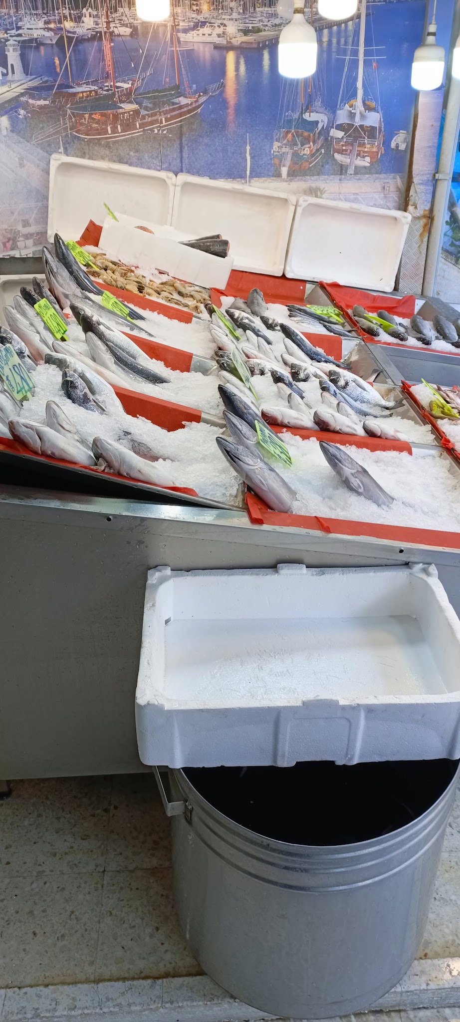 Şen Balıkçı Pişirme Evi