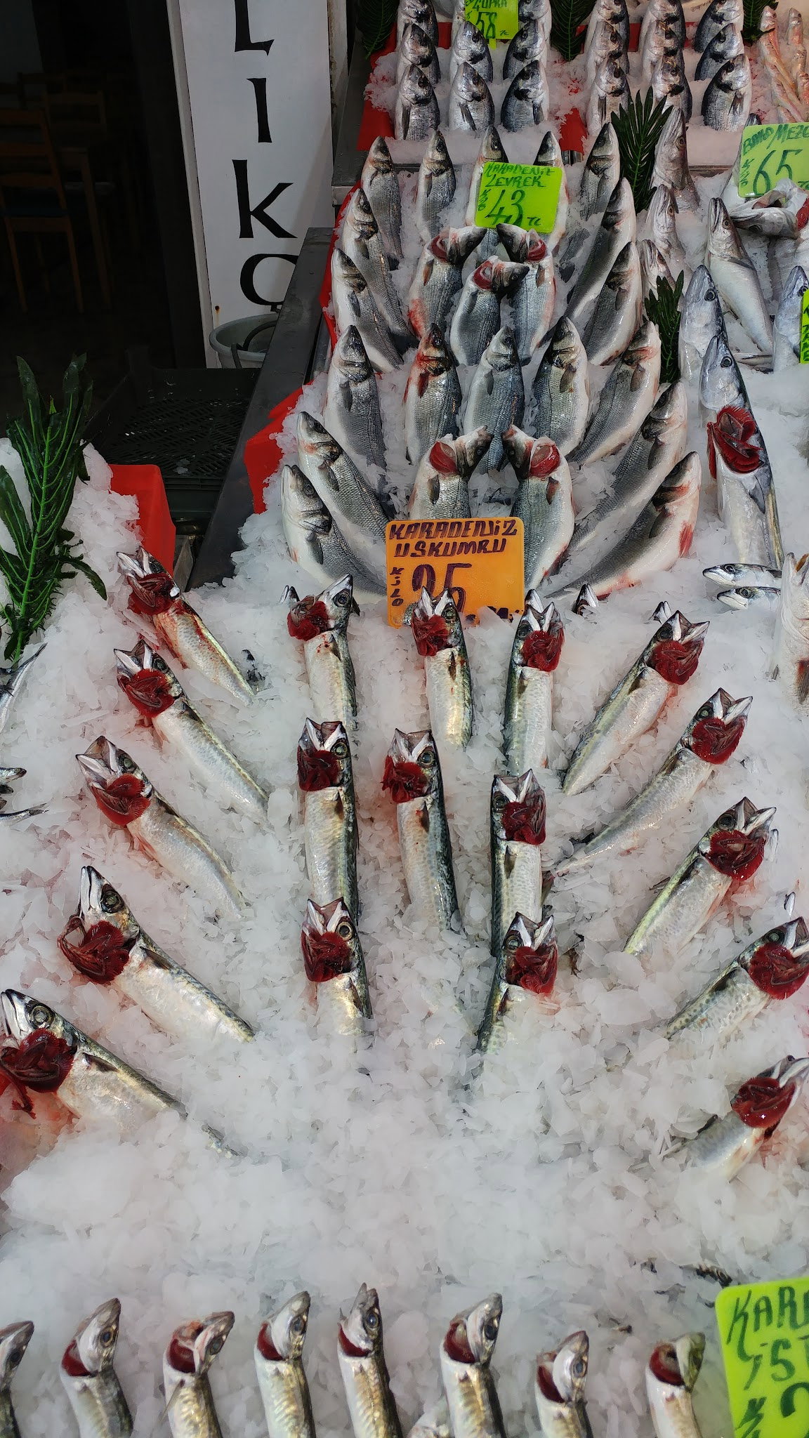 Şen Balıkçı Pişirme Evi