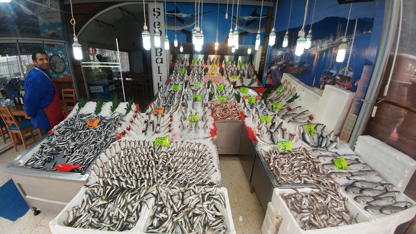 Şen Balıkçı Pişirme Evi