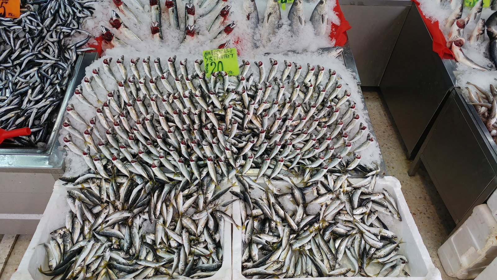 Şen Balıkçı Pişirme Evi