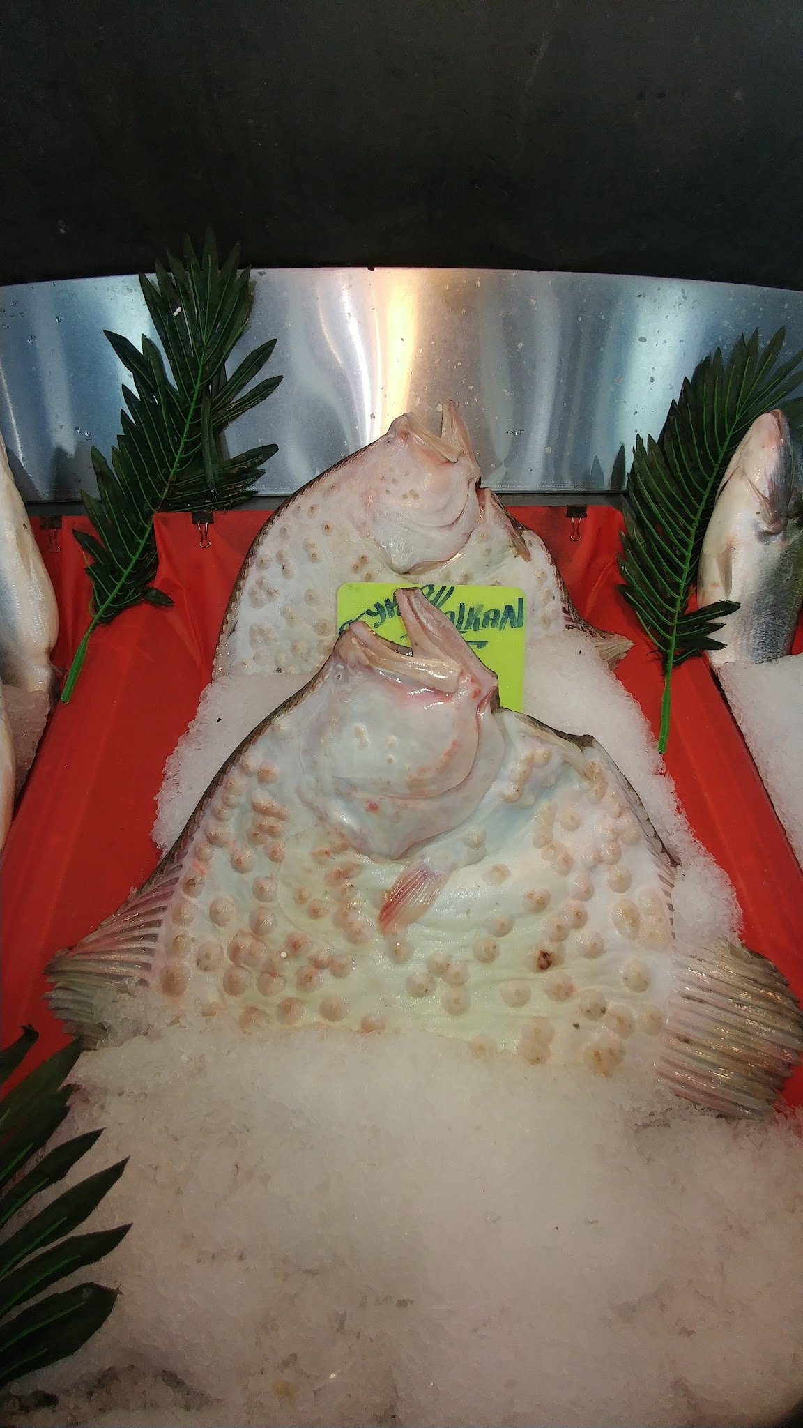 Şen Balıkçı Pişirme Evi