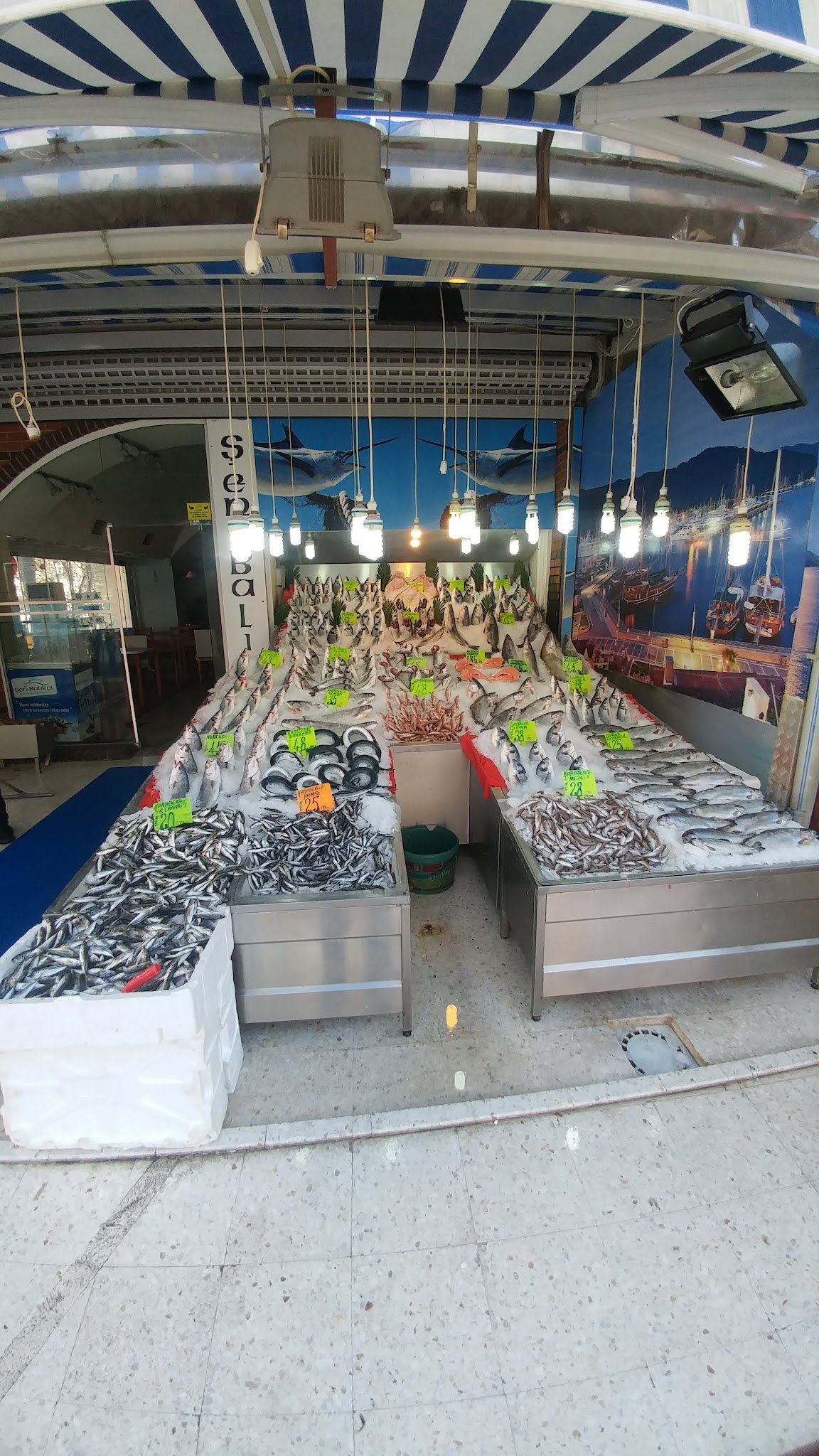 Şen Balıkçı Pişirme Evi