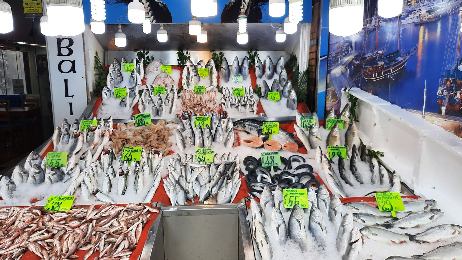 Şen Balıkçı Pişirme Evi