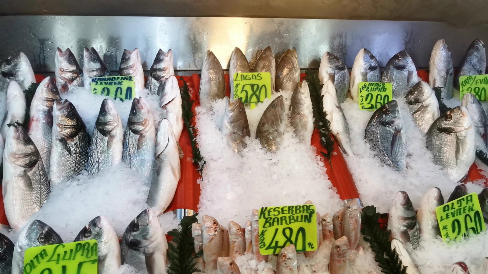 Şen Balıkçı Pişirme Evi